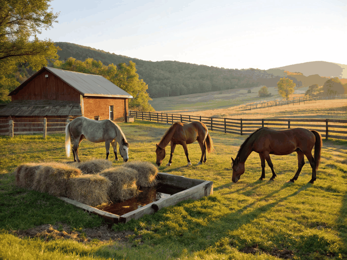 Лошади у подножия горы Белуха